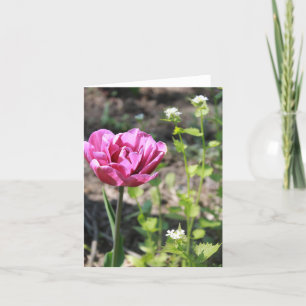 Cartes Pour Fêtes Annuelles Fleur rose dans le jardin