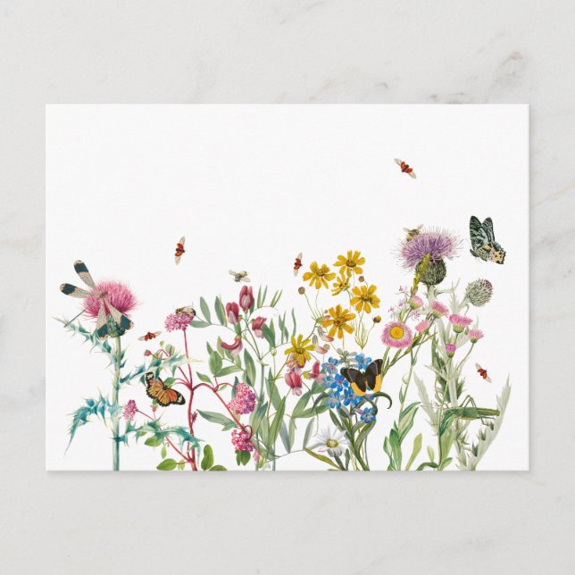 Cartes Pour Fêtes Annuelles Fleur sauvage d'aquarelle Insectes Floral Spring G (Devant)