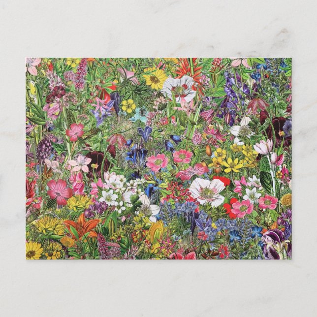 Cartes Pour Fêtes Annuelles Fleur sauvage de la nature en fleurs botaniques (Devant)