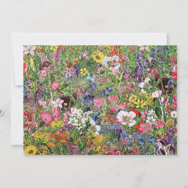 Cartes Pour Fêtes Annuelles Fleur sauvage de la nature en fleurs botaniques (Devant)