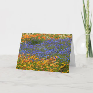 Cartes Pour Fêtes Annuelles Fleurs autochtones, Le Cap