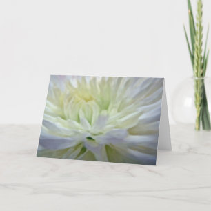 Cartes Pour Fêtes Annuelles Fleurs blanches