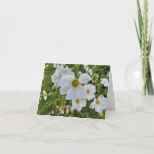 Cartes Pour Fêtes Annuelles Fleurs blanches dans le jardin