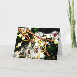 Cartes Pour Fêtes Annuelles fleurs blanches d'eucalyptus