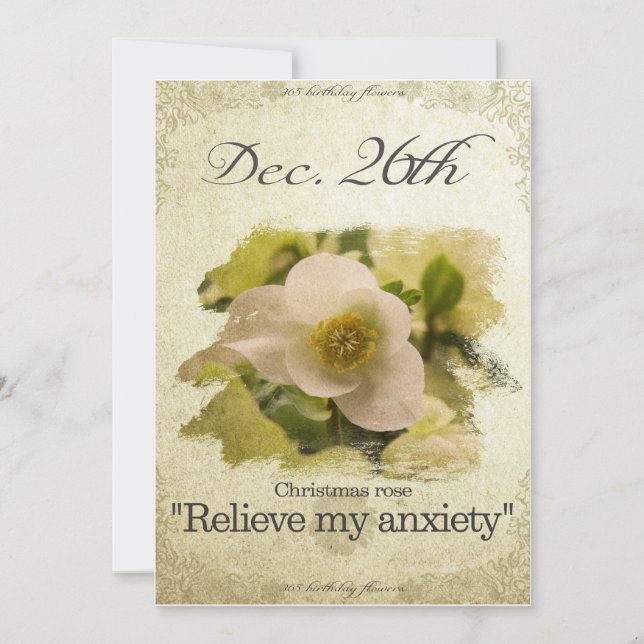 Cartes Pour Fêtes Annuelles Fleurs d'anniversaire le 26 décembre "rose de Noël (Devant)