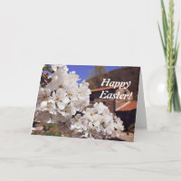 Fleurs de cerisier. Joyeuses Pâques