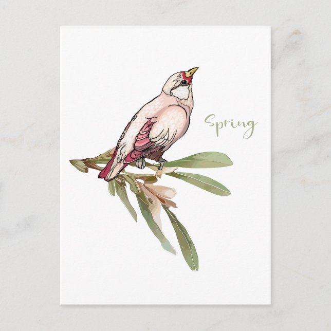 Cartes Pour Fêtes Annuelles Fleurs de printemps. Les chutes de neige. (Devant)