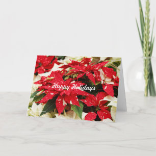 Cartes Pour Fêtes Annuelles Fleurs festives rouges et blanches de Poinsettia