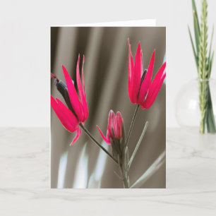Cartes Pour Fêtes Annuelles Fleurs roses
