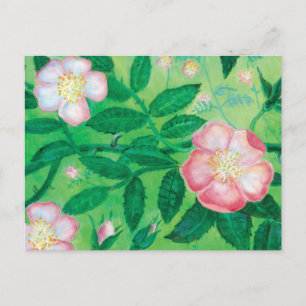 Cartes Pour Fêtes Annuelles Fleurs roses sauvages