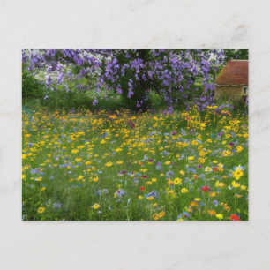 Cartes Pour Fêtes Annuelles Fleurs sauvages avec un chalet à la campagne