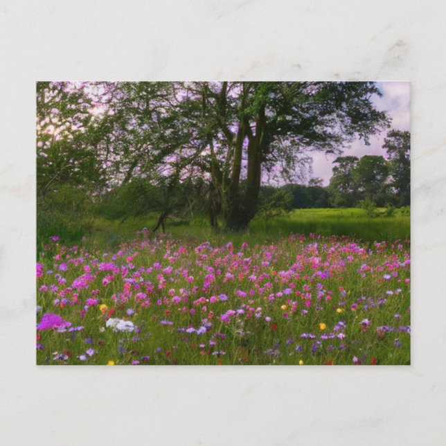 Cartes Pour Fêtes Annuelles Fleurs sauvages violets à Dusk dans le pays (Devant)