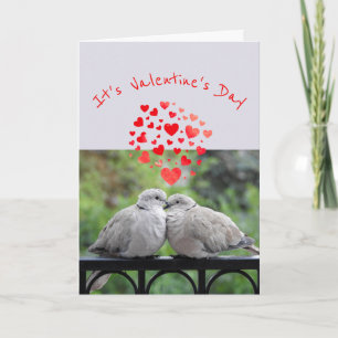 Cartes Pour Fêtes Annuelles Flirty DOVES rendent la Saint Valentin spéciale