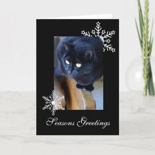 Cartes Pour Fêtes Annuelles Flocon de neige