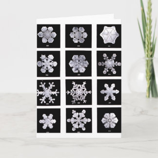 Cartes Pour Fêtes Annuelles Flocon de neige