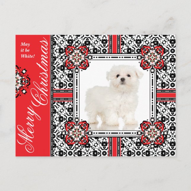 Cartes Pour Fêtes Annuelles Fluffy Little Dog vous souhaite un Noël blanc (Devant)