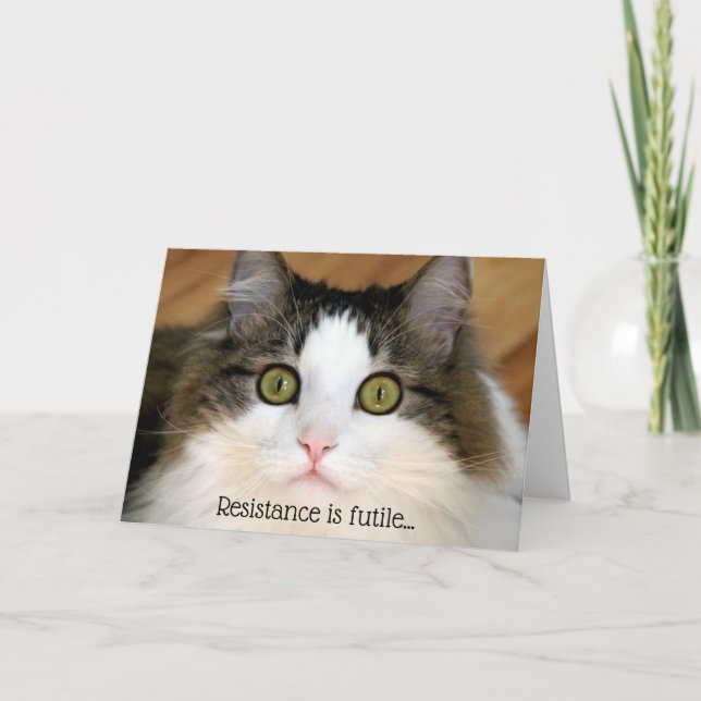 Cartes Pour Fêtes Annuelles Fluffy Visage Valentine Chat (Devant)