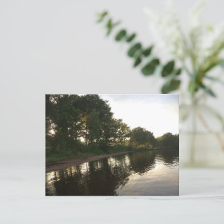 Cartes Pour Fêtes Annuelles Forest Summer Beach