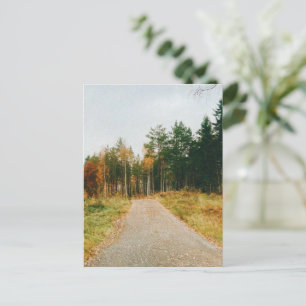 Cartes Pour Fêtes Annuelles Forêt automnale suédoise