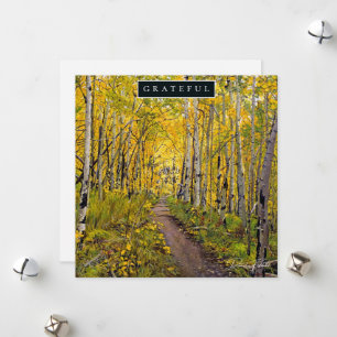 Cartes Pour Fêtes Annuelles Forêt d'Aspen