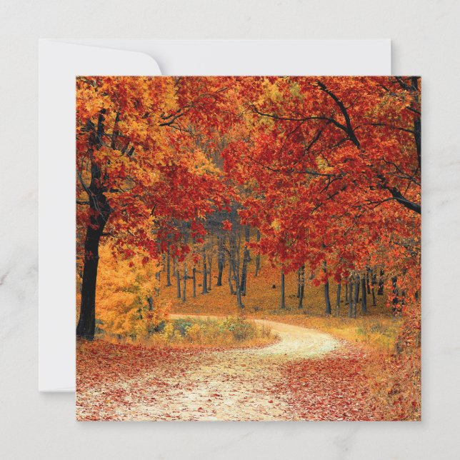 Cartes Pour Fêtes Annuelles Forêt d'automne (Devant)