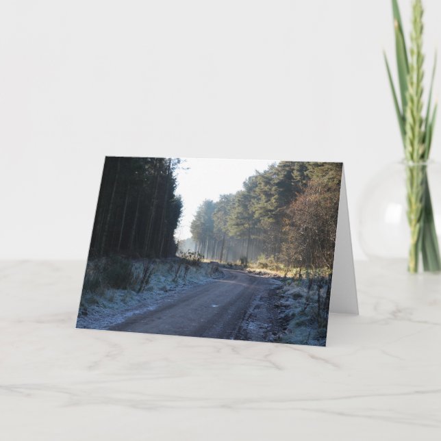 Cartes Pour Fêtes Annuelles Forêt de Tentsmuir (Devant)