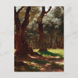 Cartes Pour Fêtes Annuelles Forêt d'oliviers à Cap Saint Martin