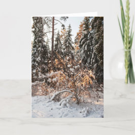 Cartes Pour Fêtes Annuelles Forêt en hiver