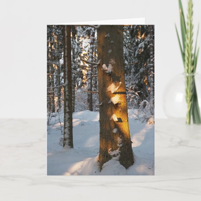 Cartes Pour Fêtes Annuelles Forêt en hiver (Devant)