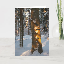 Cartes Pour Fêtes Annuelles Forêt en hiver