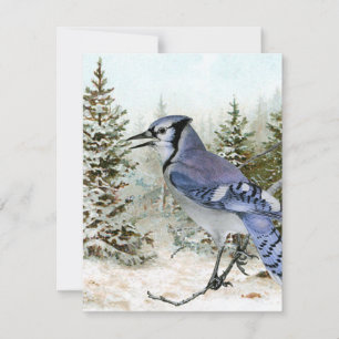 Cartes Pour Fêtes Annuelles Forêt enneigée de Noël de geai bleu oiseau de la n