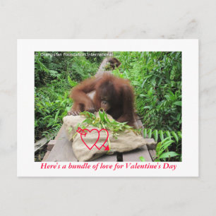 Cartes Pour Fêtes Annuelles Forfait d'amour pour la Saint Valentin