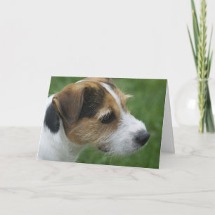Cartes Pour Fêtes Annuelles Forme de Valentine le chien