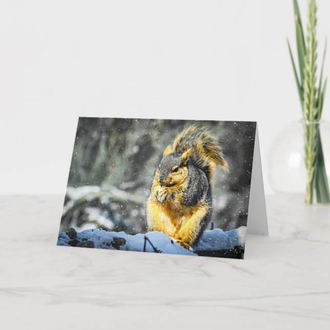 Cartes Pour Fêtes Annuelles Fox Squirrel Christmas Card (Devant)