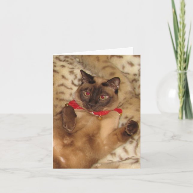 Cartes Pour Fêtes Annuelles FPG Xmas Tonkinese 2 - (Devant)