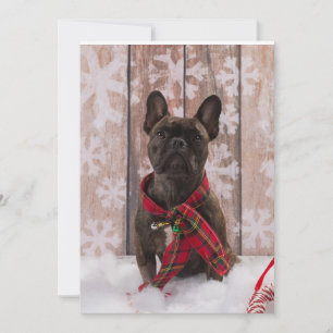 Cartes Pour Fêtes Annuelles Frenchie Baby