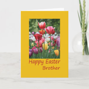 Cartes Pour Fêtes Annuelles Frère Happy Pâques