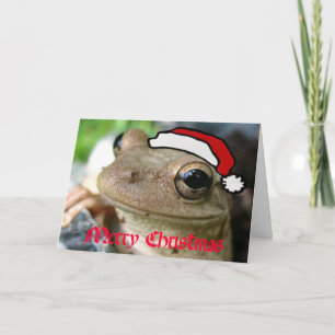 Cartes Pour Fêtes Annuelles Froggy de Joyeux Noël
