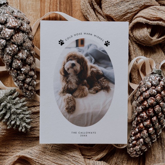 Cartes Pour Fêtes Annuelles Froid Nez Chaleureux Voeux Chien Photo Noël (Créateur téléchargé)