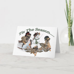 Cartes Pour Fêtes Annuelles Frontière Terrier Tis la saison