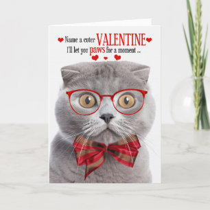 Cartes Pour Fêtes Annuelles Fumer écossais Panier Valentine Humour Feline