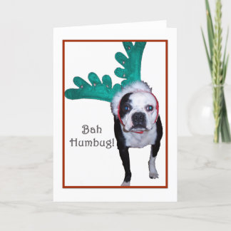 Cartes Pour Fêtes Annuelles Fumisterie de Bah ! - Boston Terrier