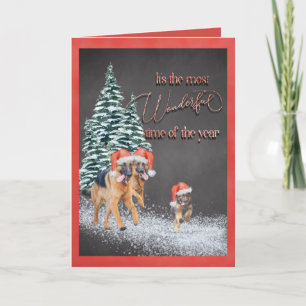 Cartes Pour Fêtes Annuelles Fun Holiday bergers allemands avec chapeaux de Pèr