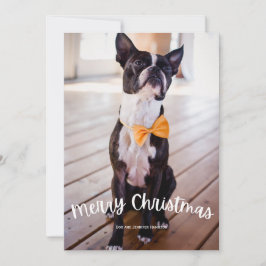 Cartes Pour Fêtes Annuelles Fun Joyeux Noël Photo Noël