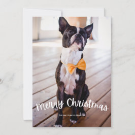 Cartes Pour Fêtes Annuelles Fun Joyeux Noël Photo Noël