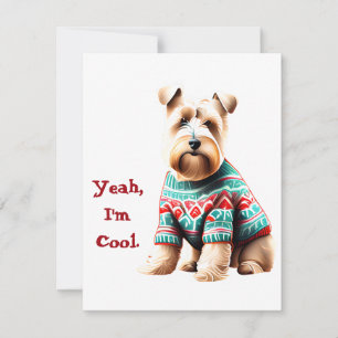 Cartes Pour Fêtes Annuelles Fun Soft Coated Wheaten Terrier Sweat de Noël
