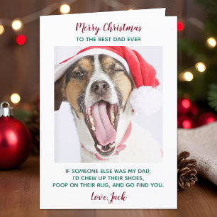 Cartes Pour Fêtes Annuelles Funky Custom Pet Photo Chien Papa Joyeux Noël