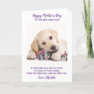 Cartes Pour Fêtes Annuelles Funky Personnalisé Animaux de compagnie Photo Mère
