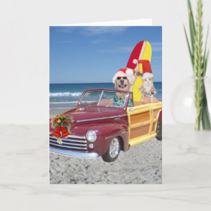 Cartes Pour Fêtes Annuelles Funky Yellow Lab & Cat Surfer Noël