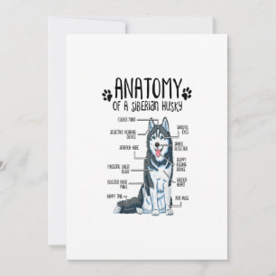 Cartes Pour Fêtes Annuelles Funny Anatomy